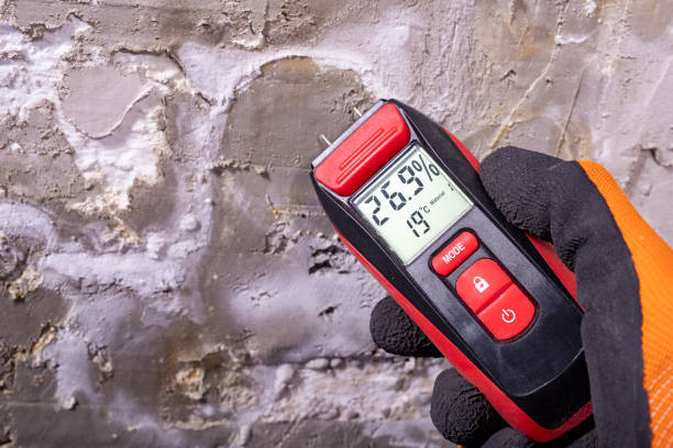 Best Residential Mold Removal  in Rosaryville, MD