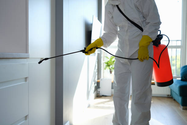 Best Toxic Mold Removal  in Rosaryville, MD