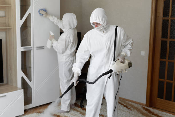 Best Professional Mold Removal  in Rosaryville, MD